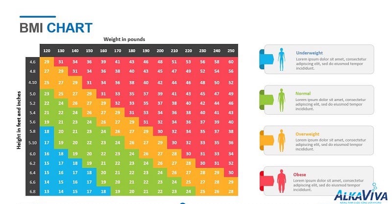 Cách tính chiều cao cân nặng chuẩn của nam và nữ bang chi so bmi chuan