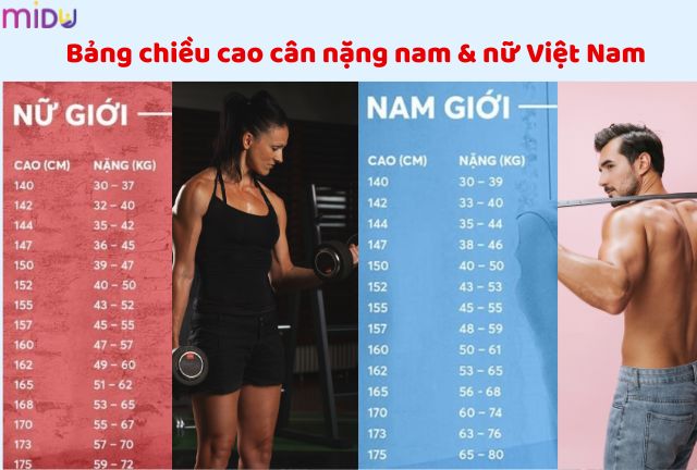 Cách tính chiều cao cân nặng chuẩn của nam và nữ bang chieu cao cang nu gioi va nam gioi viet nam